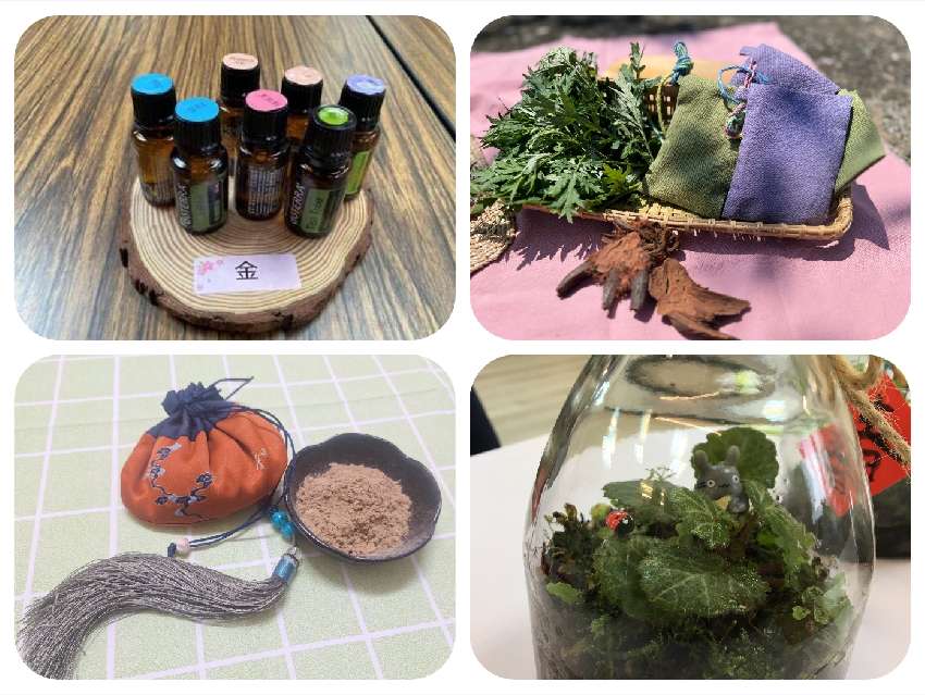 植感生活月系列活動報名開跑