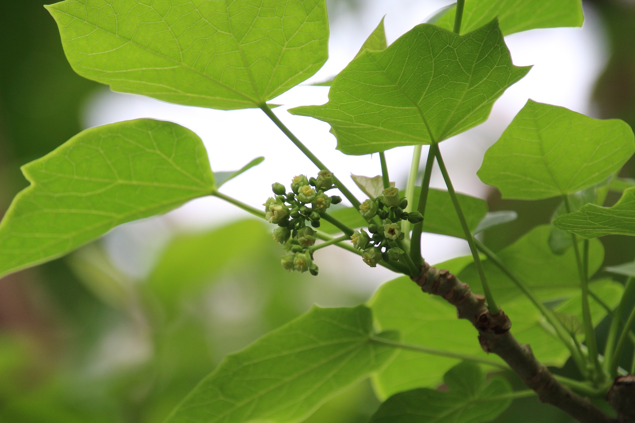 今天是 4 月 22 日 #世界地球日。