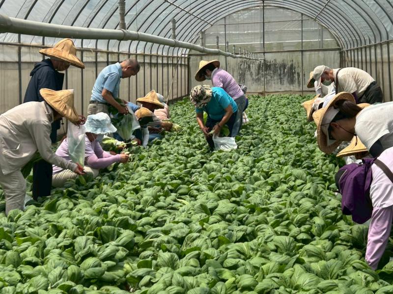 典藏植物園志工教育訓練：參訪台塑楊梅有機生態農場