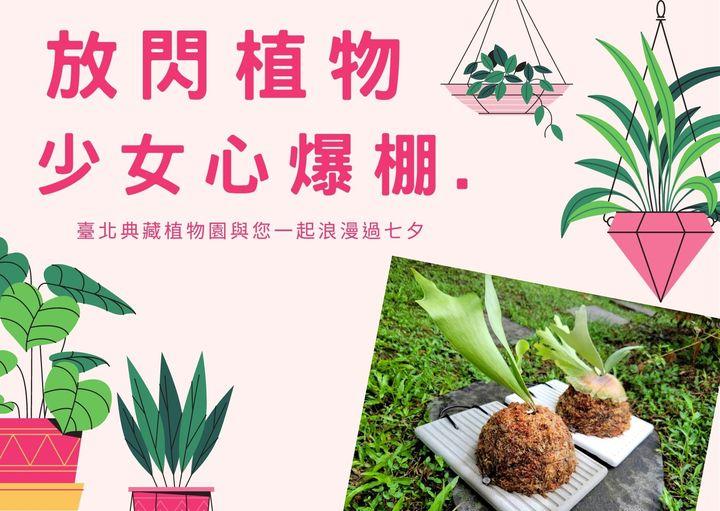 「放閃植物，少女心爆棚！」 臺北典藏植物園 與您一起浪漫過七夕🥰