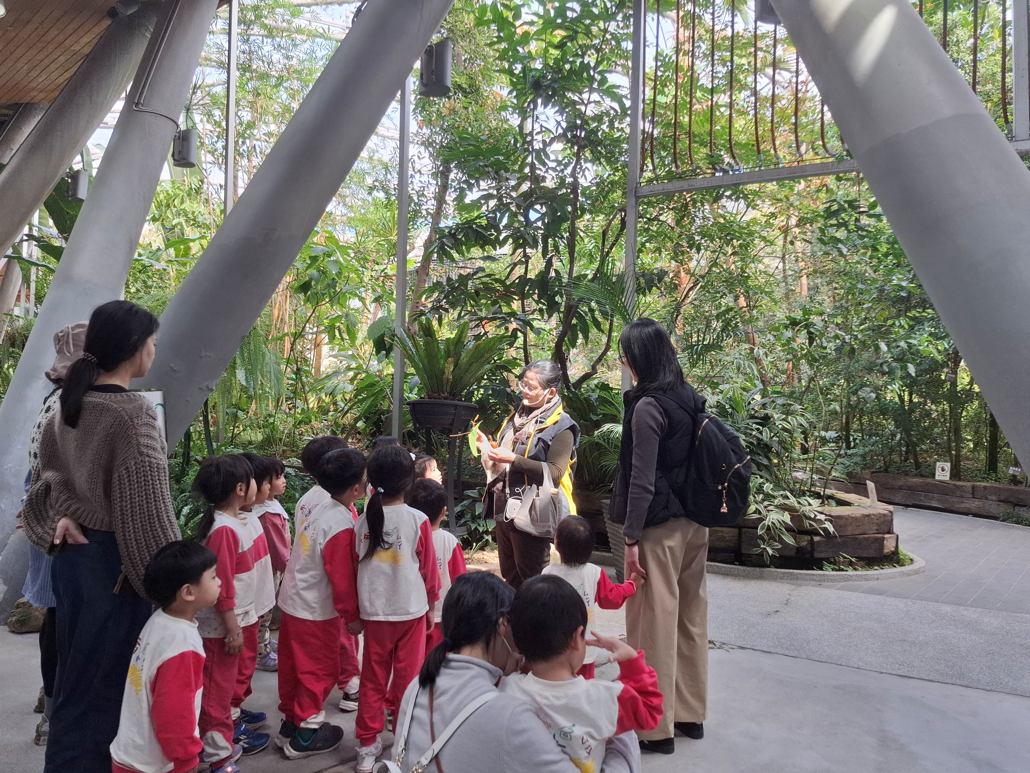 2026.3.11 植感色階 活動回顧 