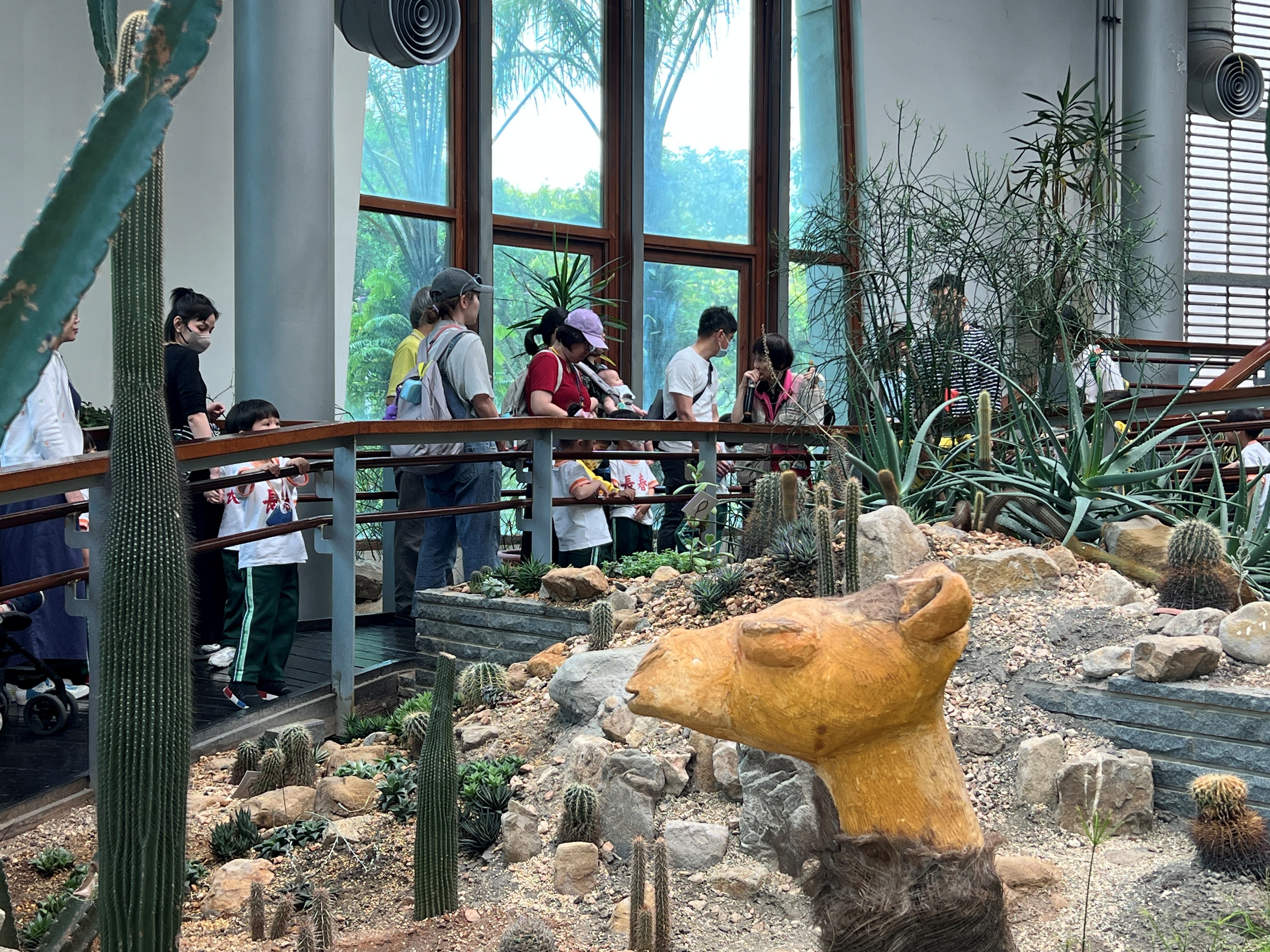 2025.4.9 植感色階 活動回顧 