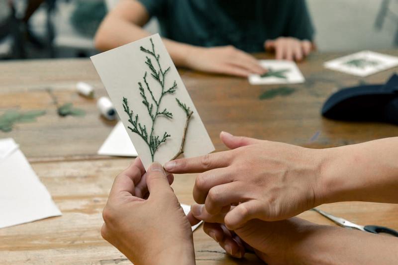 植感生活月｜臘葉標本